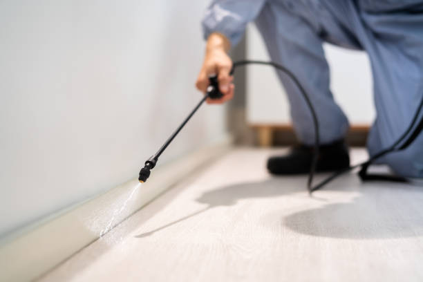 Professional exterminator conducting IPM assessment in Thorndale